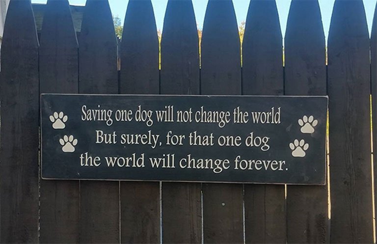 Image of a fence with a sign on it reading: Saving one dog will not change the world. But surely, for that one dog the world will change forever.